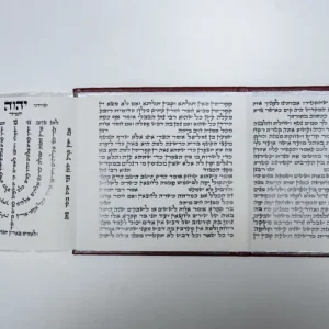 Pitum HaKetoret 3-Panel – Ksav ASHKENAZ Beautiful Case – W/ Lamnatzeach Menorah