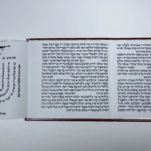 Mehudar Pitum HaKetores 3-Panel – Ksav ASHKENAZ Beautiful Case – W/ Lamnatzeach