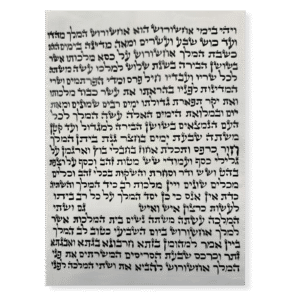 Megillat Esther (Ksav Ari) 11" - R. C. Shapiro