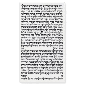 Megillat Esther (Ksav Sefardi) 14 1/2" - R. Benishti