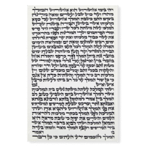 Megillat Esther (Ksav Ashkenaz) 11 3/4" - R. Menachem