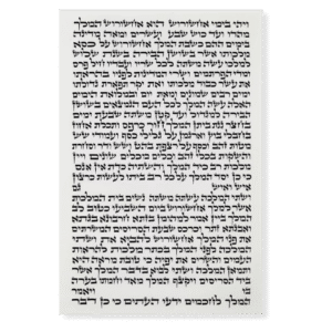 Megillat Esther (Ksav Ashkenaz) 11 3/4" - R. Pinchas