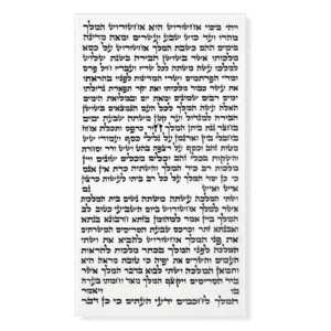 Megillat Esther (Ksav Ashkenaz) 14 1/2" - R. Tessler